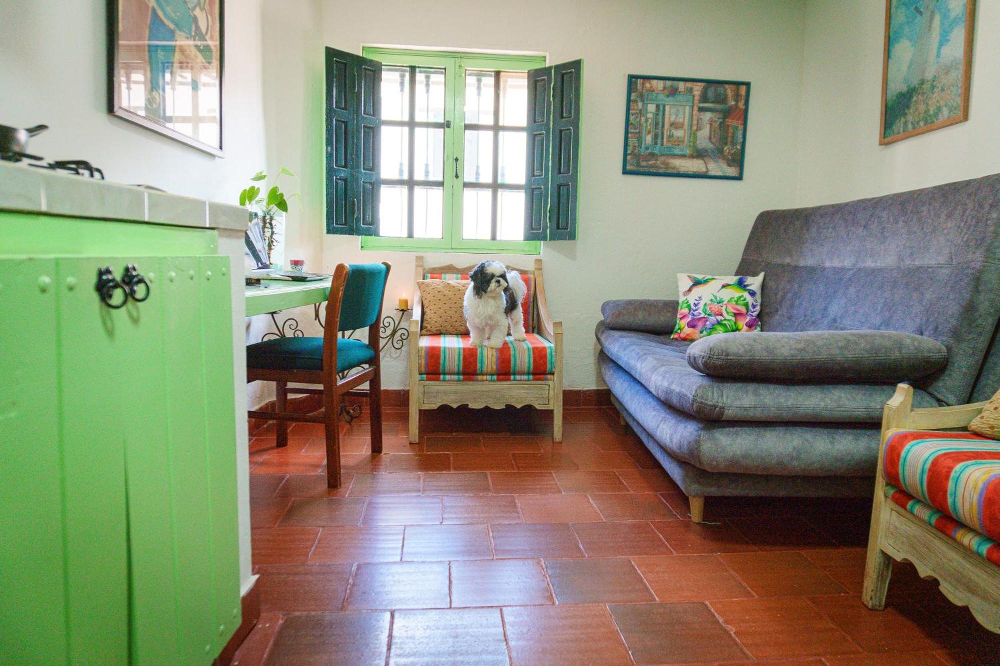 Apartamentos Y Habitaciones Le Colibri - Villa De Leyva Exterior photo